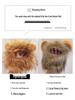 Cat & Small Dog Cute Lion Headgear with Rabbit Ears - Funny Pet Costume Accessories