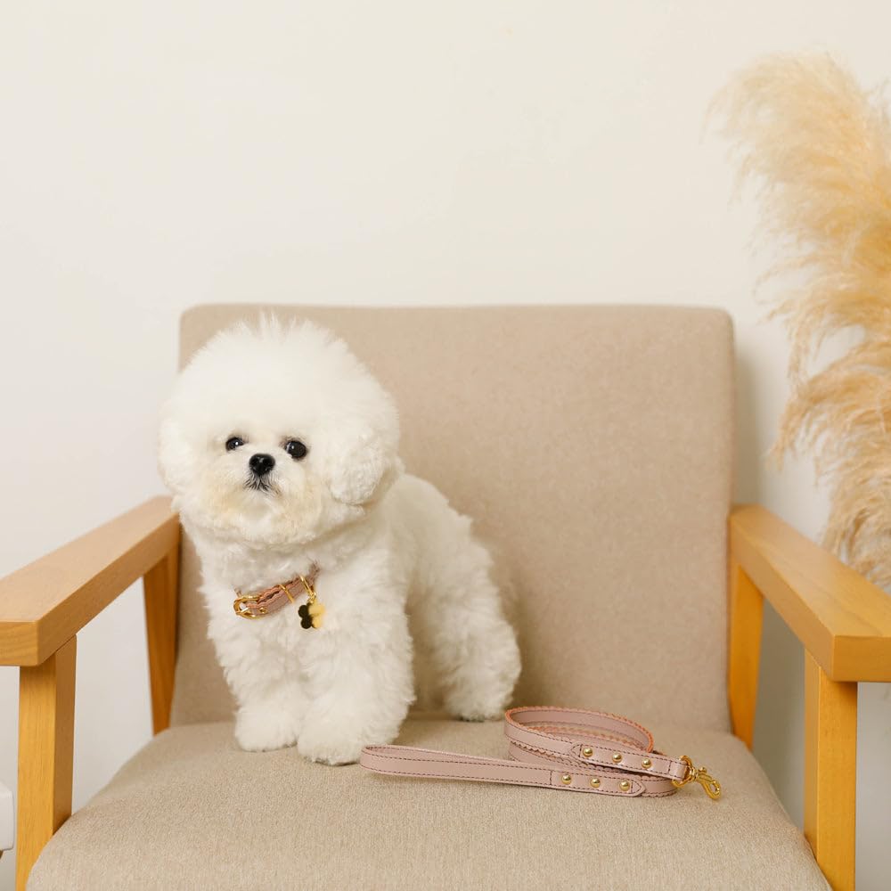 Wavy Flower Charm Leather Collar for Small To Medium Dogs Genuine Cowhide Adjustable Perfect for Walks and Outings Monchéri Dogs, (M/Pink),