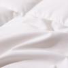 FUANNA White Goose Down Quilt