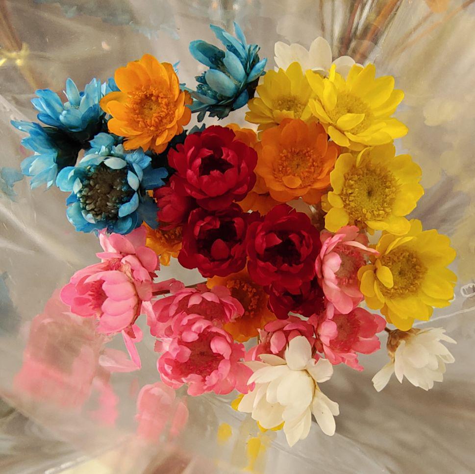 

Суха помада-желе з бразильської маргаритки-зірочки: Ароматерапевтичний міні-букет, Справжні плаваючі квіти для домашнього декору та фото.