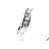 Used [In operation] Orient Star F6R4-UAA0 automatic men's watch