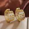 Luxury Hollow Geometric Great Wall Textured Earrings