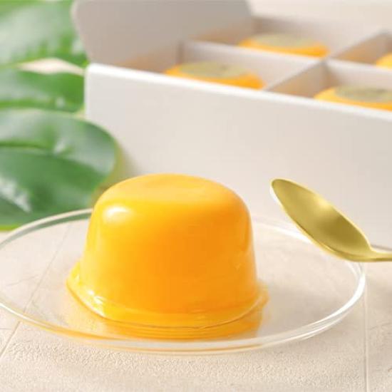 Momijiya Honpo Japanischer Mango-Pudding Premium Mango-Pudding 1 Schachtel mit 6 Stück x 6 von einem Yokan White Day Sommergeschenke Luxus Luxusgeschenk Pudding Luxus