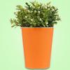 1 Pcs Random Color Creative Self-watering Flower Cup Desktop Self-Watering Flower Pot Planters Accessories Supplies Home Decor