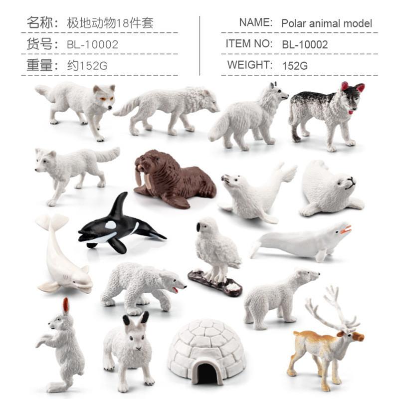 

Realistic Miniature Arctic Animal Figures Set Including Walrus Beluga Seal For Children