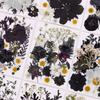 22-25PCS Set Black Series Dried Flowers for DIY Resin Jewelry Making Natural Real Pressed Flower Leaves Craft Bookmark Supplies