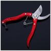 1PC Pruning Shears Fruit Branch Shears Tree Shears, Garden Fruit Trees with Scissors Flower Shears