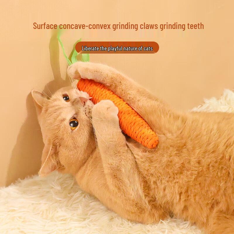 Durable Carrot Molar Cat Toy