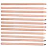 12Pcs Pastel Pencils Wooden Rod Professional Sketching Painting Tool Art Supplies