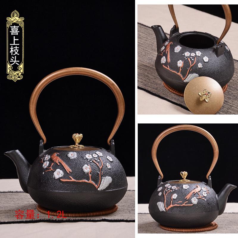 Cast Iron Boiling Teapot for Tea Brewing, Traditional Heating Water Kettle, Charcoal Stove Compatible, Rustic Black