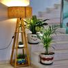 Shade Is Not Include Stylish Wooden Floor Lamp With 3 Tier Shelf For Home Decor || Living Room || Bed Room