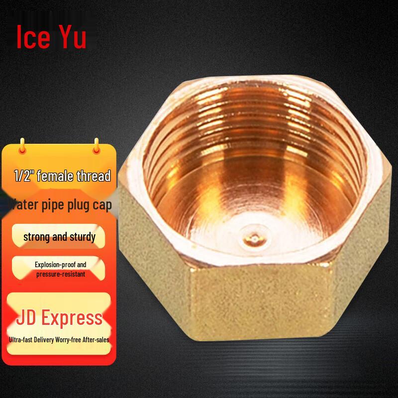 Female Threaded Copper Pipe Plugs