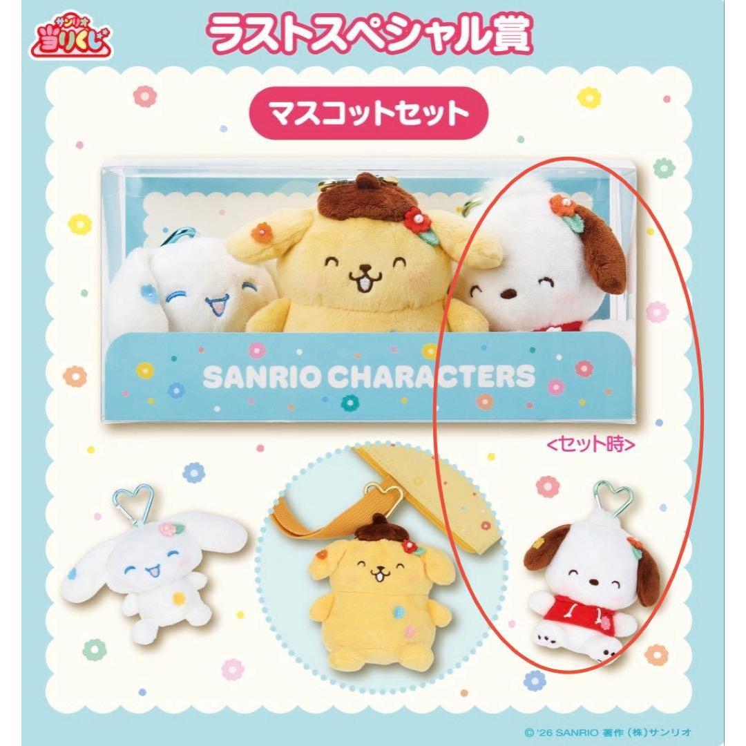 Ichiban Kuji Sanrio Characters Winner Lottery Last Special Award Pochacco