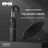 Double Elephant Fully Automatic 10-Rib UV Protection Folding Umbrella