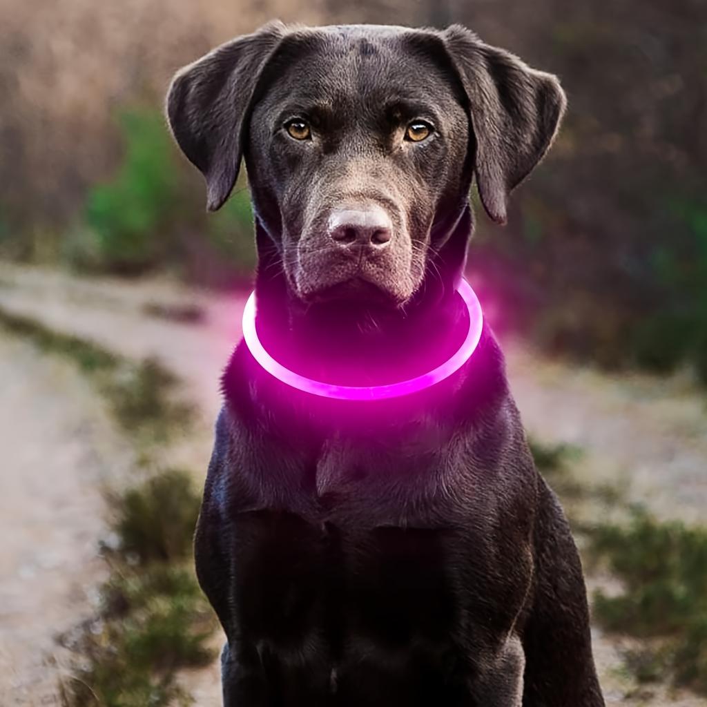 LED-Licht Halsband für Hunde, Nachtlicht Anti-Verlust-Halsband, Leuchtendes Halsband für Nachtspaziergänge, Sicherheitswarnung, Anti-Verlust-Hundezubehör