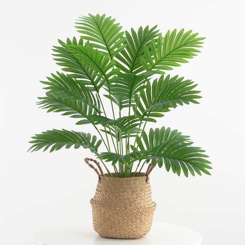 Lutescens Dypsis Greenery For Interior Decor And Garden Photography Props