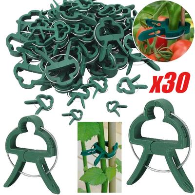 30 clip per piante, staffa riutilizzabile per serra, per piante fisse, viti, fiori, piantine, pomodori, supporto per giardino