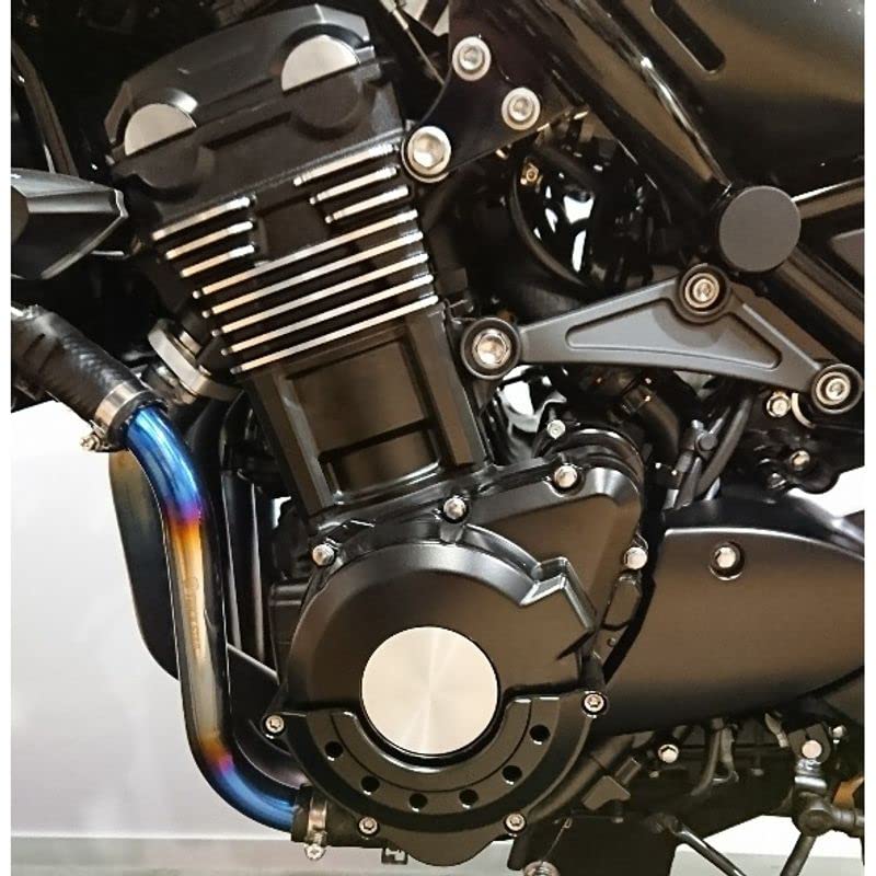 LEDISHUN Engine Engine Engine Guard for Kawasaki and Z900RSCAFE Model Cover, Slider, Z900, Z900RS, (All Years) (Z900RS/cafe, Gold)