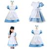 Vestido Bellamente Diseñado de Alicia en el País de las Maravillas con Mangas Abullonadas