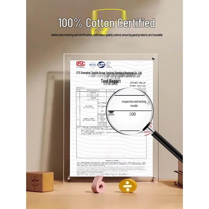 Muji-style Class A Xinjiang Cotton Four-Season Quilt