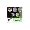 Raymay Fujii Handheld Microscope DX Beige 40x Magnification Portable Design
