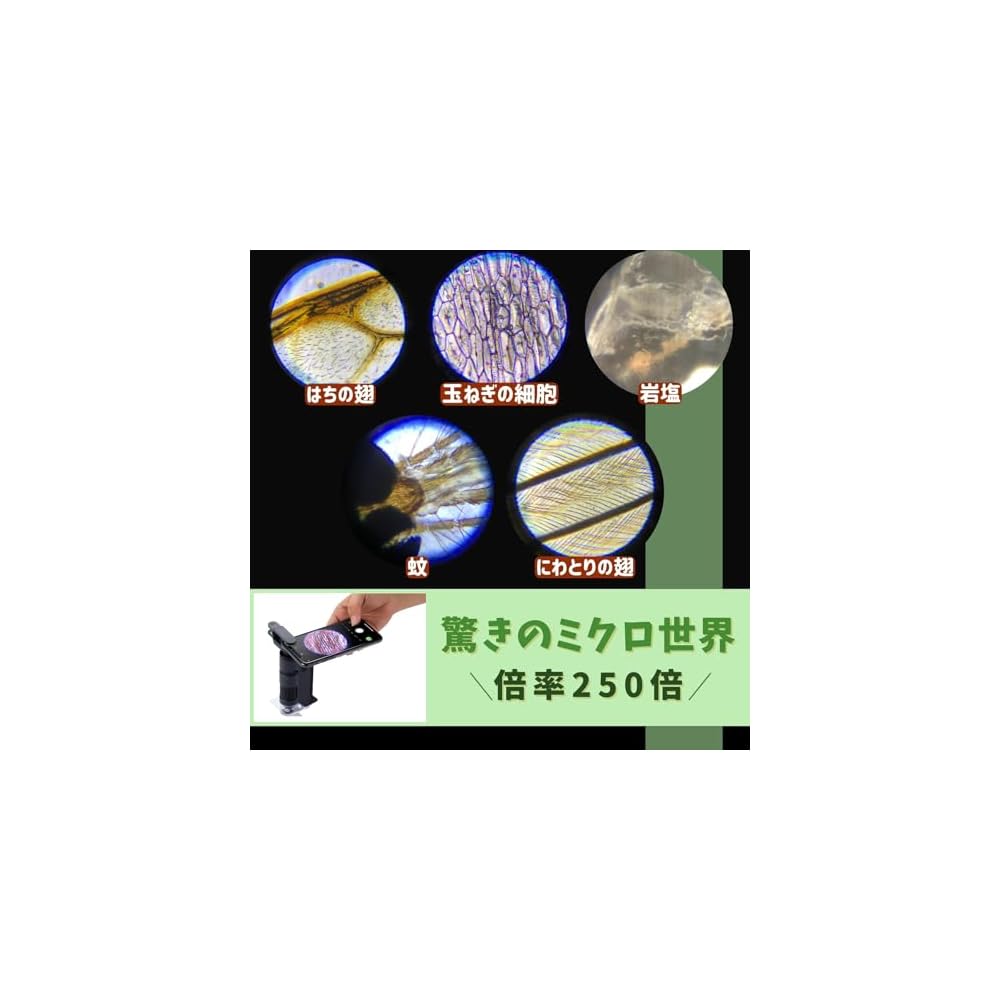 Raymay Fujii Handheld Microscope DX Beige 40x Magnification Portable Design
