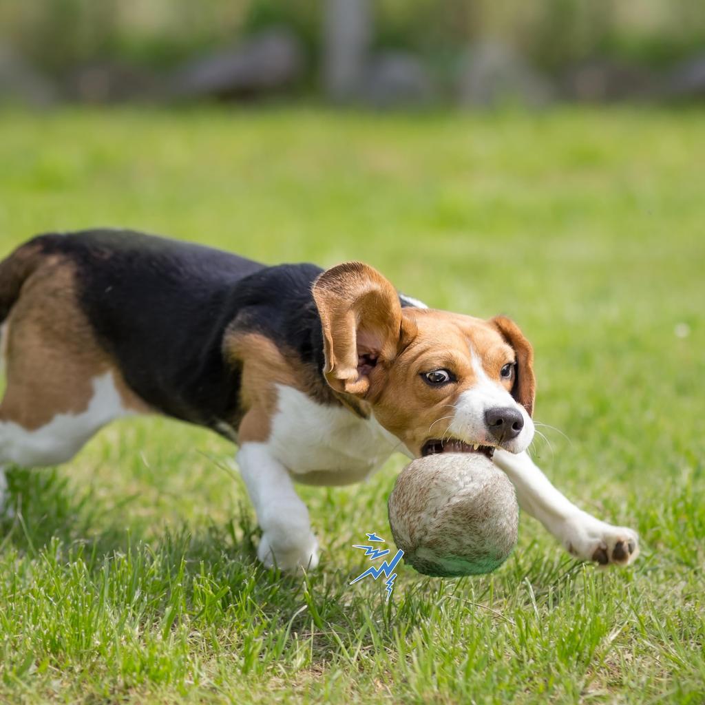 Wobble Giggle Ball Is an Interactive Toy Designed To Relieve Dog This Squishy Ball Is Designed To Make Fun Sounds When Rolled or and Is Suitable for a