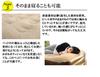 Vita Electric Air Bed Air Mat for Single Person or Electric Inhalation Approximately 90 Single Brown Guest, Type, Seconds,