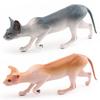 Export Simulation Shorthair Persian Cat Hairless Cat Model Children'S Cognition Pet Cat Desktop Static Ornament