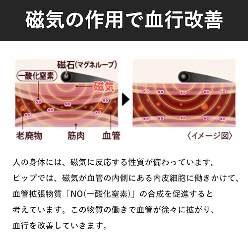 [Amazon.co.jp Exclusive] PIP Magneloop MAX Black & Metal Silver 200mT Magnetic Necklace for Relieving Stiff Shoulders and Neck