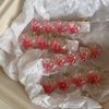Jelly Color Cute Strawberry Hairpin Girls Lolita Bangs Duckbill Clip Girls Sweet Hair Side Clip Summer Styling Accessories