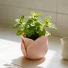 1pc -Rose Flower Pot,Drainage Planter, Suitable for Vintage Desk and Balcony Decoration,Daily Gardening All-season Succulent Pot
