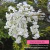 Artificial Cherry Blossom Branch - Dense 3-Prong/4-Prong Cherry Blossom Wedding Decoration