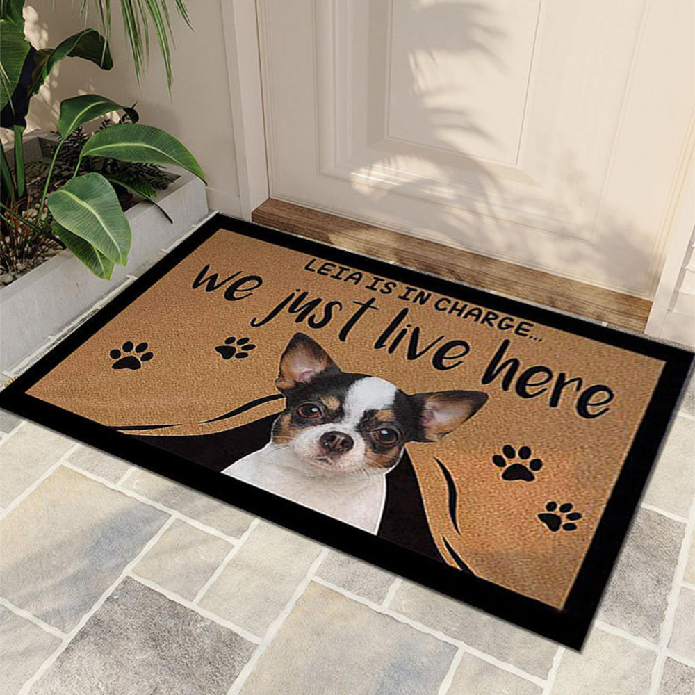 Cute Cat And Dog Door Mat Home Living Room Bedroom Floor Mat Entrance Carpet Non Slip Kitchen Bathroom Rug Doormat 40x60cm
