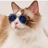 Cool Pet Sunglasses for Cats & Dogs - Fun, Stylish Eyewear for Small To Medium Pets