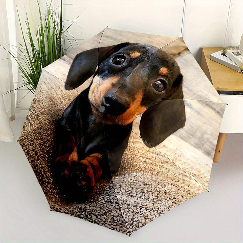 

1pc Cartoon Pattern Umbrella with Plastic Handle,Suitable for All Seasons Home Travel Outdoor Umbrella