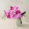 Vivid Simulation Phalaenopsis Cloth Fake Butterfly Orchid Artificial Moth Orchids  Bedroom