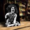 Van Halen Metal Plaques & Signs Wall Decor Vintage Tin Signs Captain Metal Poster Decor for Bar Pub Club Wall Decoration