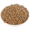 Cassia Seeds Tea Natural Healthy Select Cooked 500g