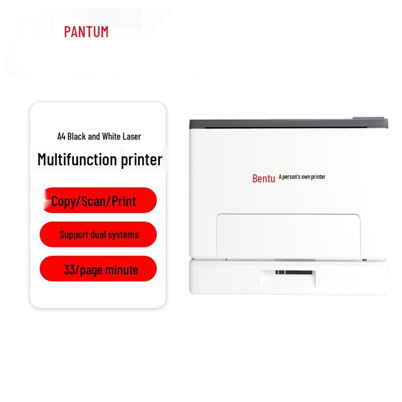 Pantum Professional Laser Printing & Imaging Solutions CN Plug (adapter Included)