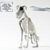 Halloween Dark Animal Skeletons For Haunted House Decor