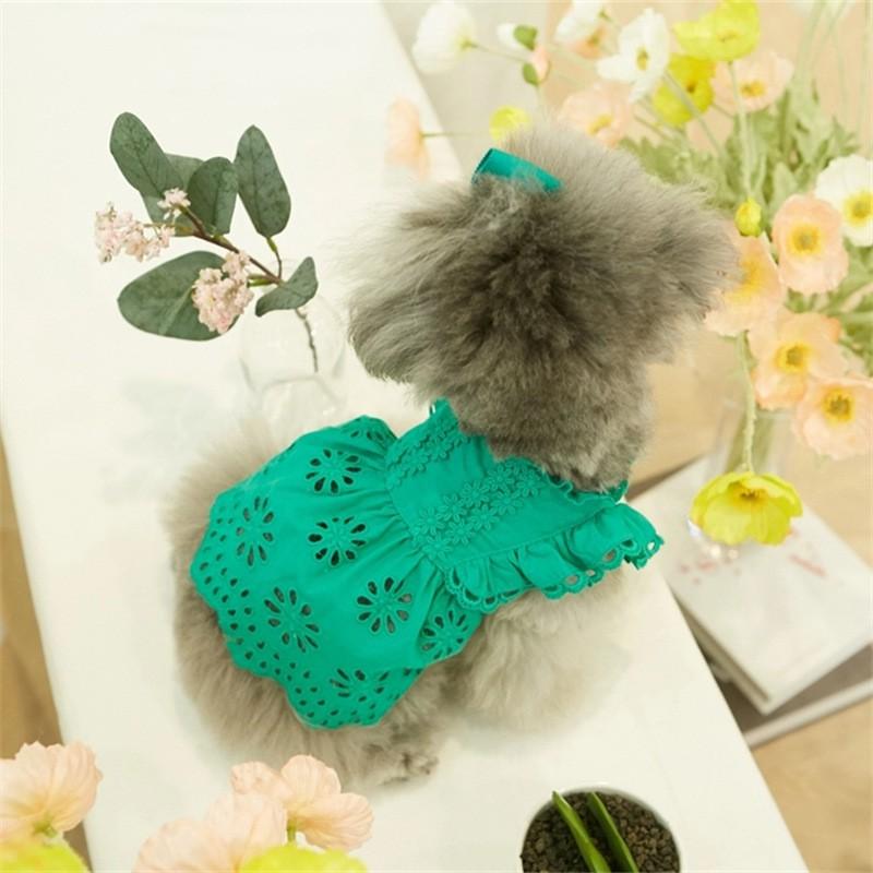 Huisdier Kant Fladderende Mouw Prinsessenjurk Teddy Poedel Kat Met Haaraccessoire