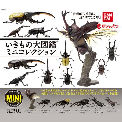 Bandai Twist Egg Movable Assembly Insect Model Simulation Giant Paphiophil Action Figure Finished Product A of Poseable Articulated Scale Detailed
