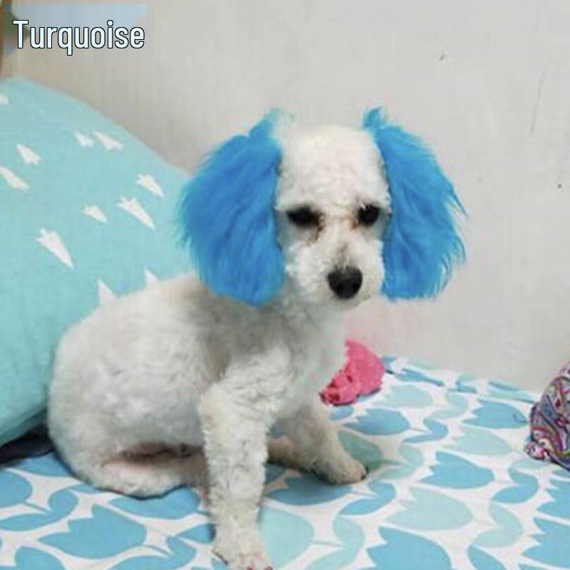 Bichon & Pomeranian White Hair Dye for Pets - Safe and Specialized Formula for Dogs