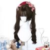 LAOBAO Cosplay Harajuku GAL Princess Twin Long Curly Heat Costume Perfect for and Events Wig, Lolita, Style, Style, Cut, Tail, Brown, Hair, Resistant,