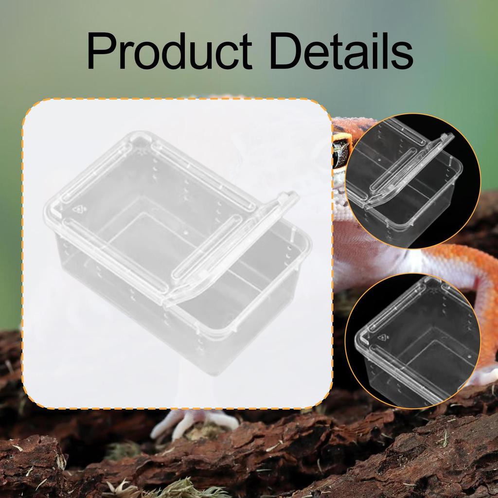 Reptile Feeding Box Breeding Critter Hatching Container Clear Terrarium Habitat Cage for Animal