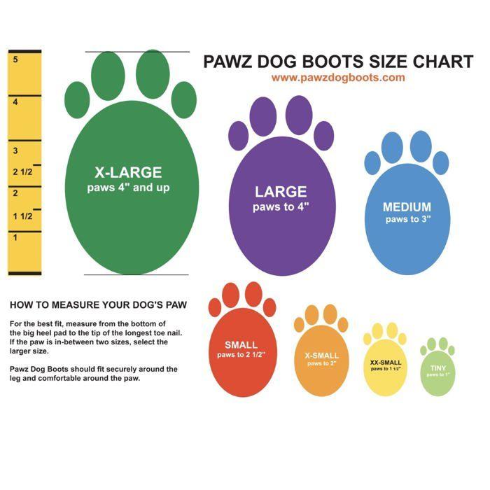 Buty ochronne dla psa - Protex Pawz - Czarny - Rozmiar M - Wytrzymałe - Wygodne