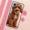 Cute Cockapoo Dog For Realme 15 10 11 12 13 14 Pro Plus C65 C67 C75 C63 C61 C55 C51 C53 C35 GT6 GT7 Pro Case