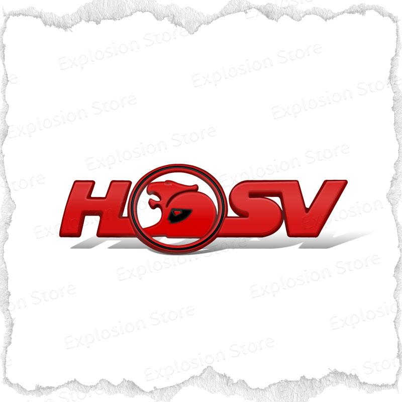 New 3D Metal Logo Emblem Decor Car Fender Side Sticker For Holden HSV Astra Commodore VT VX VU VY HSV Cruze Rodeo Astra