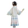 2024 Spring/Autumn Toddler Hanfu: Tang Dynasty Fairy Ma Mian Skirt